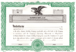 LLC Stock Certificates